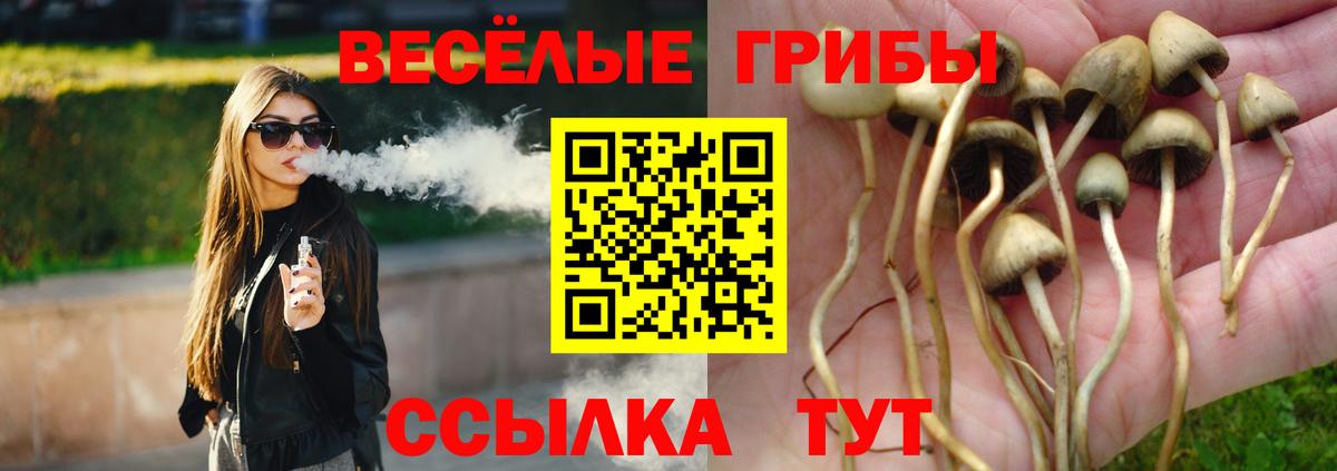 Псилоцибиновые грибы Magic Shrooms Крымск